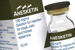 Ketamine Anesket 1000mg/10ml